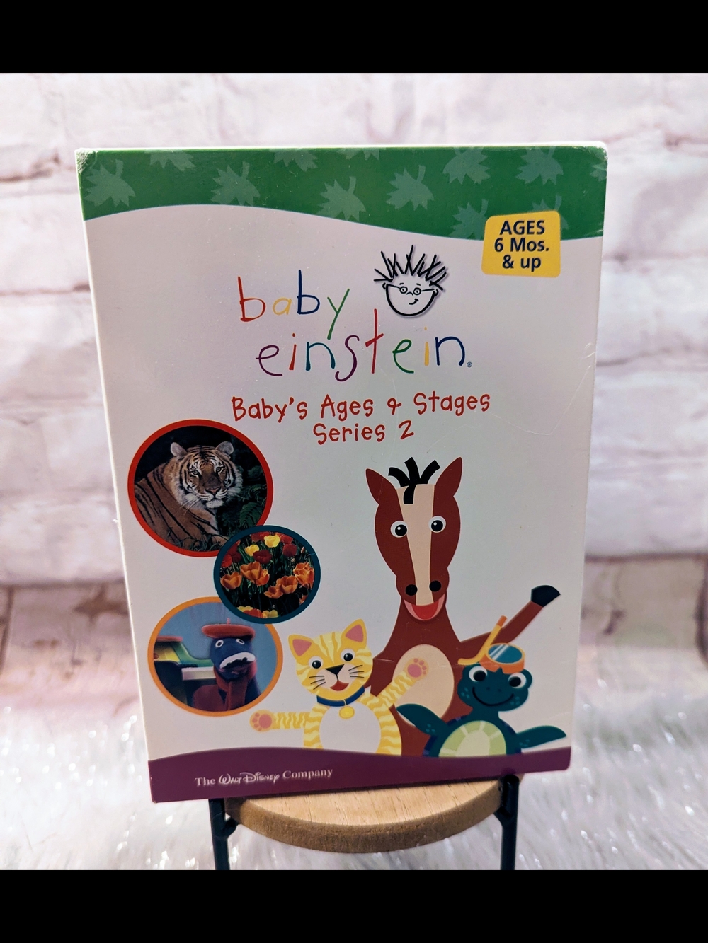 Baby Einstein Baby's Ages & Stages Series 2 DVD Collection